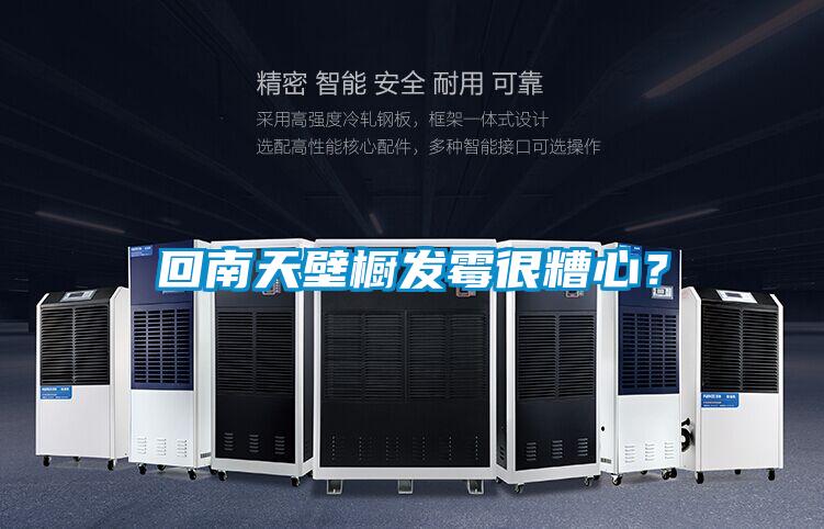 回南天壁櫥發(fā)霉很糟心？