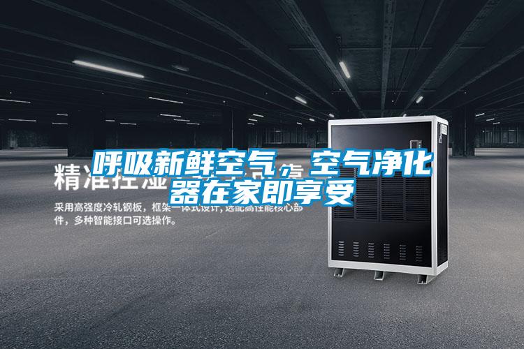 呼吸新鮮空氣，空氣凈化器在家即享受