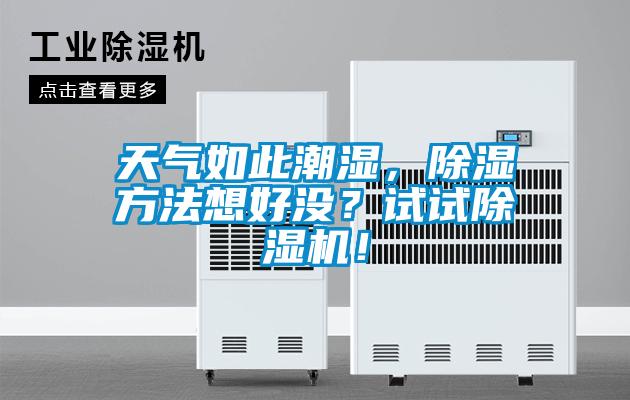 天氣如此潮濕，除濕方法想好沒？試試除濕機(jī)！