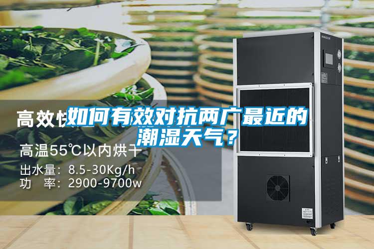 如何有效對(duì)抗兩廣最近的潮濕天氣？