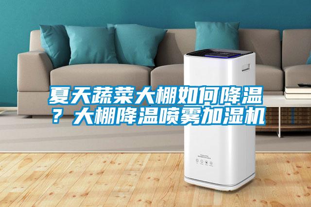 夏天蔬菜大棚如何降溫？大棚降溫噴霧加濕機
