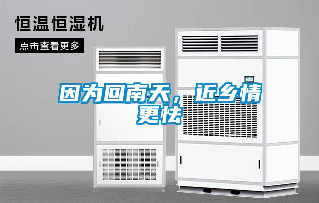 因為回南天，近鄉(xiāng)情更怯