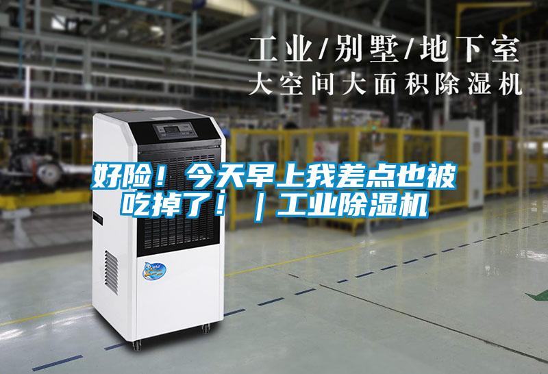 好險(xiǎn)！今天早上我差點(diǎn)也被吃掉了?。I(yè)除濕機(jī)