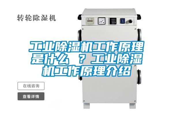 工業(yè)除濕機(jī)工作原理是什么 ？工業(yè)除濕機(jī)工作原理介紹