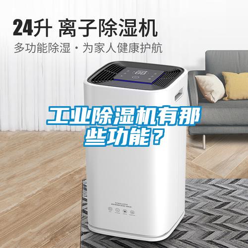 工業(yè)除濕機(jī)有那些功能？
