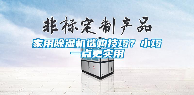 家用除濕機(jī)選購(gòu)技巧？小巧一點(diǎn)更實(shí)用