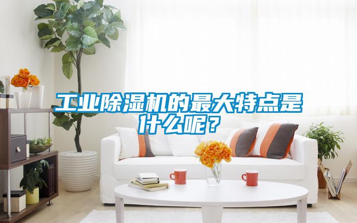 工業(yè)除濕機(jī)的最大特點是什么呢？