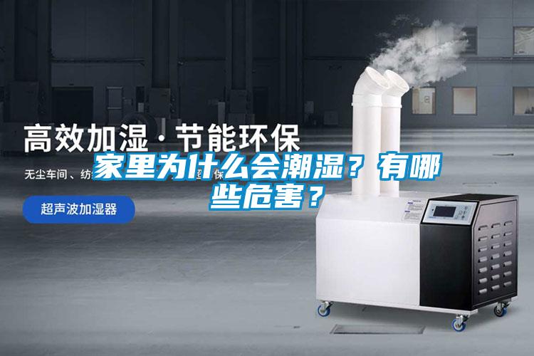 家里為什么會潮濕？有哪些危害？