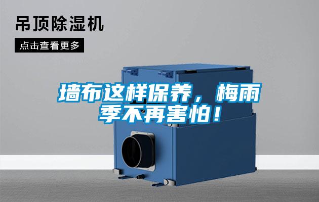 墻布這樣保養(yǎng)，梅雨季不再害怕！