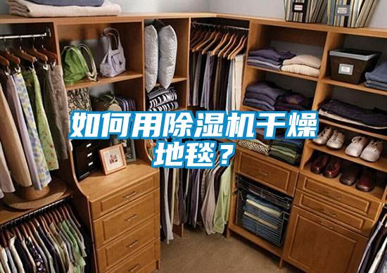 如何用除濕機(jī)干燥地毯？