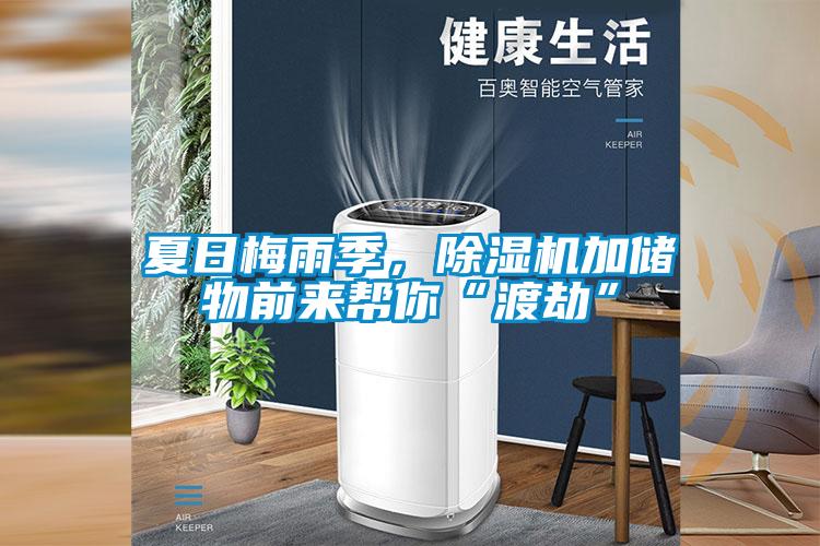 夏日梅雨季，除濕機(jī)加儲(chǔ)物前來幫你“渡劫”
