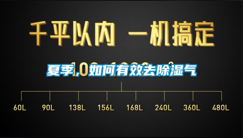 夏季，如何有效去除濕氣