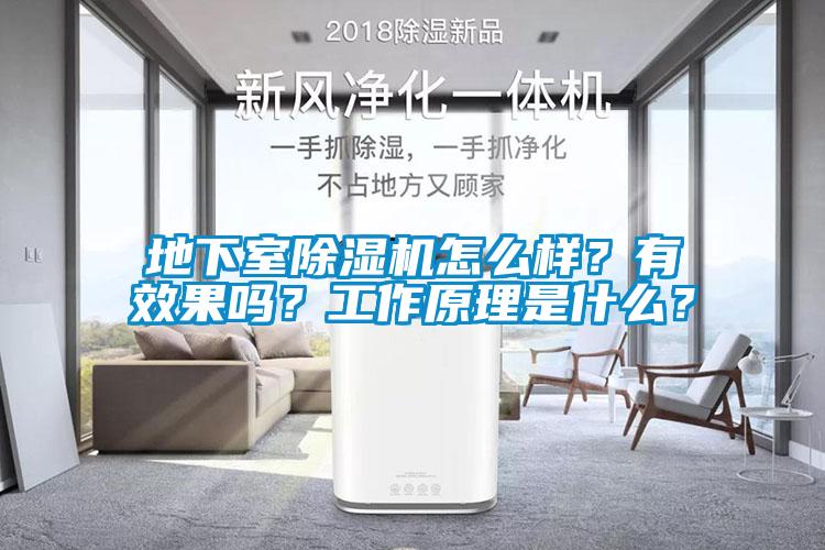 地下室除濕機(jī)怎么樣？有效果嗎？工作原理是什么？