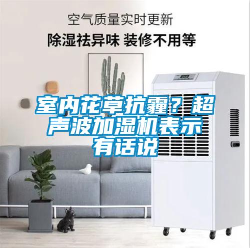室內(nèi)花草抗霾？超聲波加濕機(jī)表示有話說(shuō)