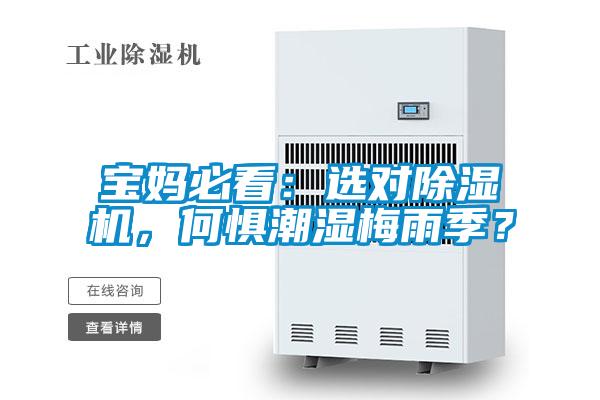 寶媽必看：選對除濕機(jī)，何懼潮濕梅雨季？