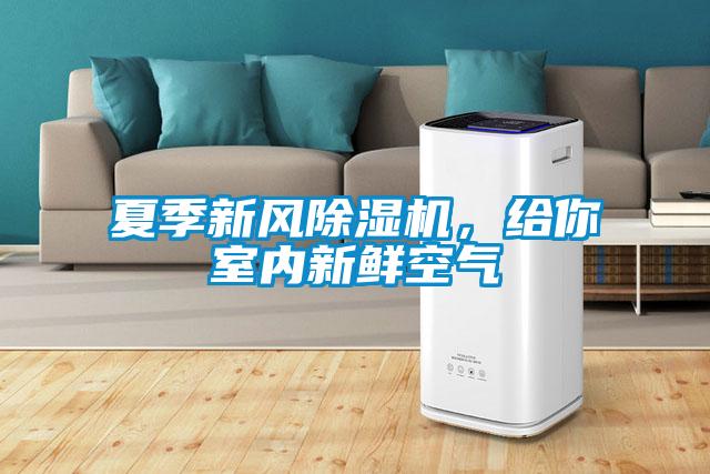 夏季新風(fēng)除濕機(jī)，給你室內(nèi)新鮮空氣