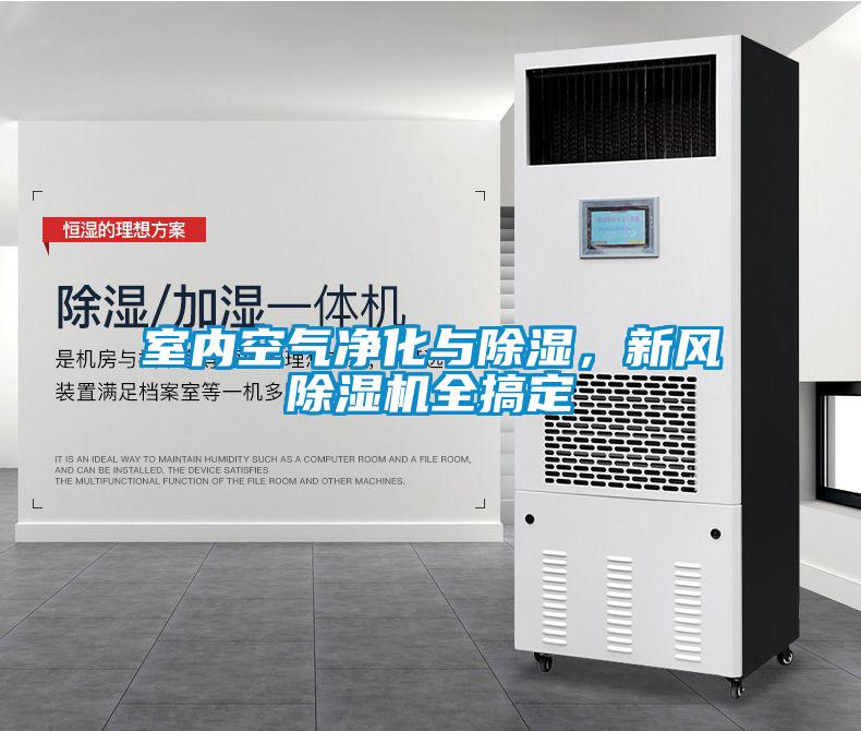 室內(nèi)空氣凈化與除濕，新風(fēng)除濕機(jī)全搞定