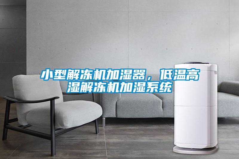 小型解凍機(jī)加濕器，低溫高濕解凍機(jī)加濕系統(tǒng)