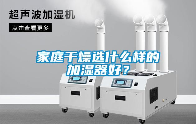 家庭干燥選什么樣的加濕器好？