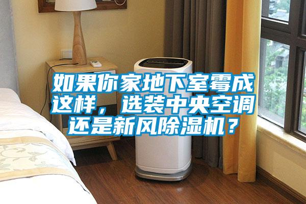 如果你家地下室霉成這樣，選裝中央空調(diào)還是新風(fēng)除濕機？