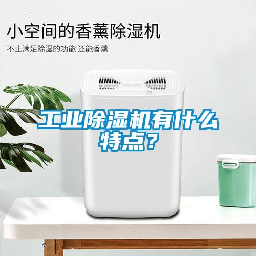 工業(yè)除濕機(jī)有什么特點(diǎn)？