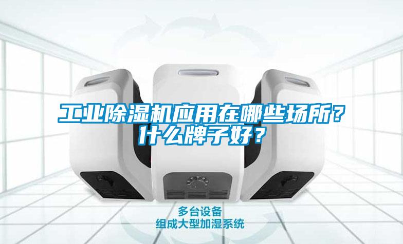 工業(yè)除濕機(jī)應(yīng)用在哪些場(chǎng)所？什么牌子好？