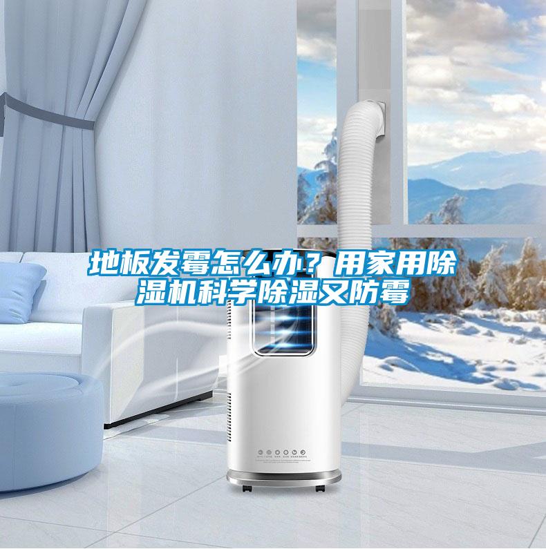 地板發(fā)霉怎么辦？用家用除濕機(jī)科學(xué)除濕又防霉