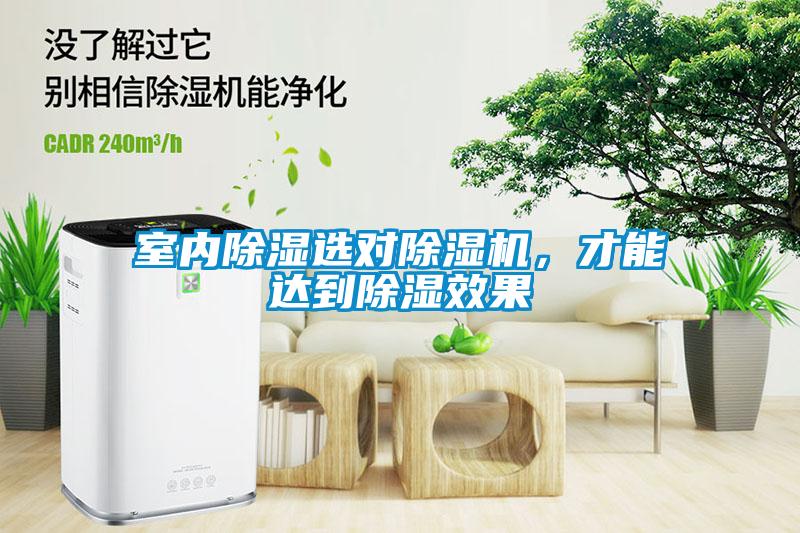 室內(nèi)除濕選對(duì)除濕機(jī)，才能達(dá)到除濕效果