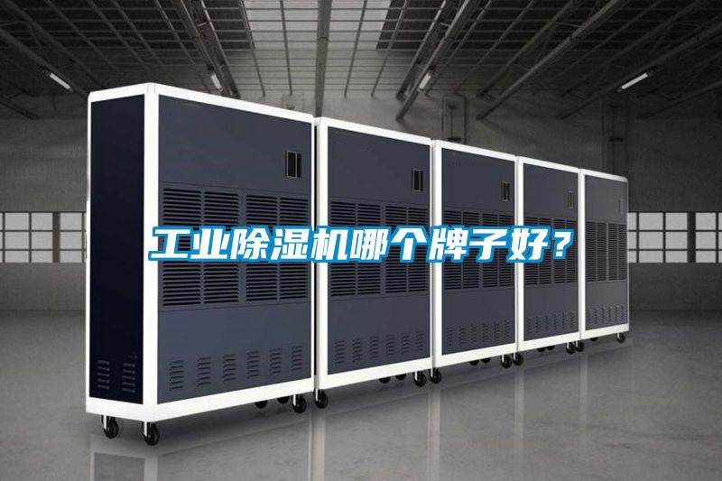 工業(yè)除濕機(jī)哪個(gè)牌子好？