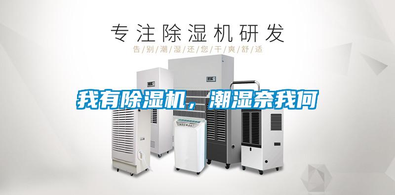 我有除濕機，潮濕奈我何