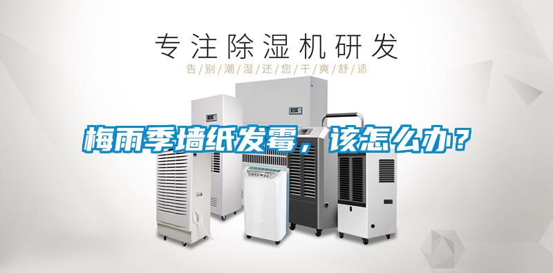 梅雨季墻紙發(fā)霉，該怎么辦？