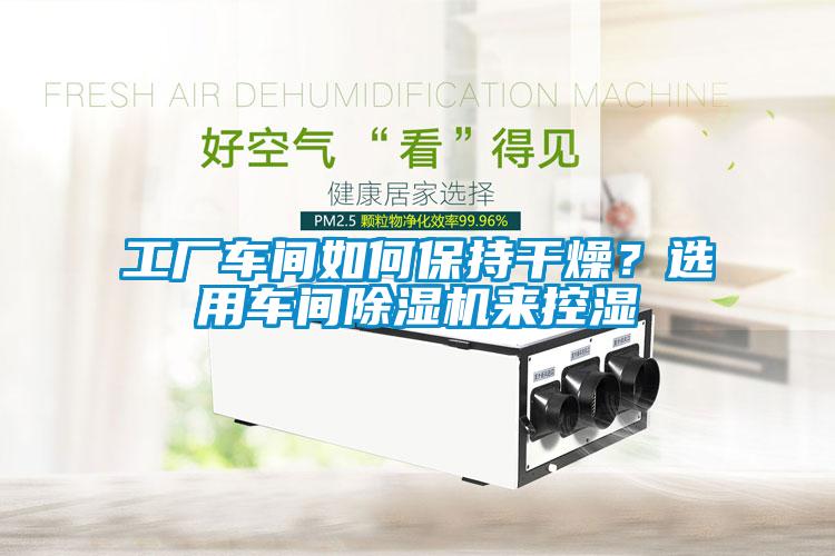 工廠車間如何保持干燥？選用車間除濕機來控濕