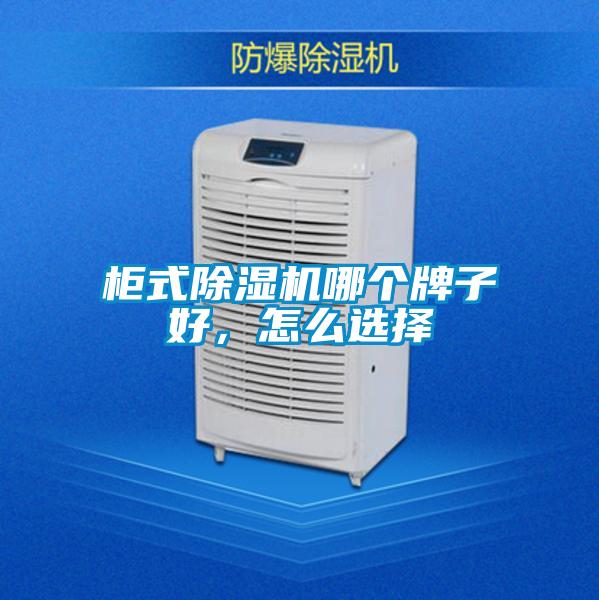 柜式除濕機(jī)哪個(gè)牌子好，怎么選擇
