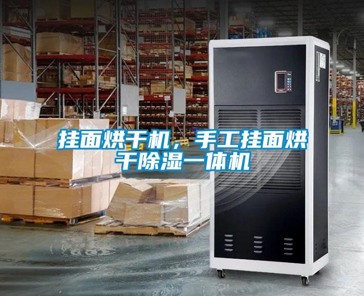 掛面烘干機(jī)，手工掛面烘干除濕一體機(jī)
