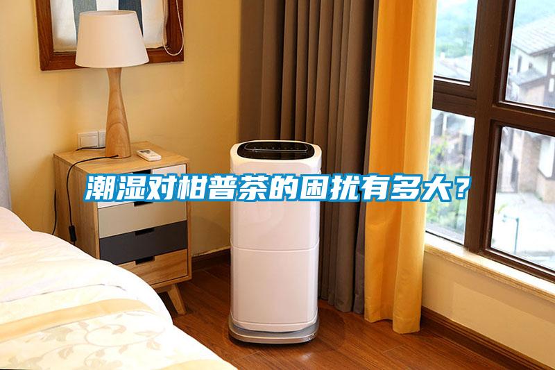 潮濕對柑普茶的困擾有多大？