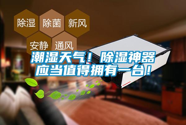 潮濕天氣！除濕神器應(yīng)當(dāng)值得擁有一臺(tái)！