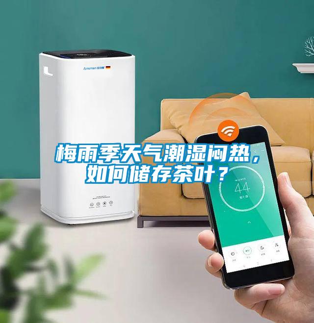 梅雨季天氣潮濕悶熱，如何儲(chǔ)存茶葉？