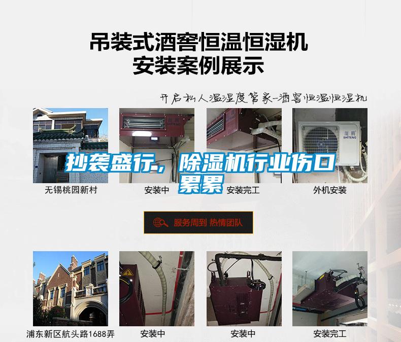 抄襲盛行，除濕機(jī)行業(yè)傷口累累