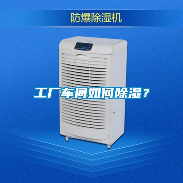 工廠車間如何除濕？
