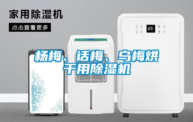 楊梅、話梅、烏梅烘干用除濕機(jī)