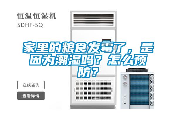 家里的糧食發(fā)霉了，是因為潮濕嗎？怎么預防？