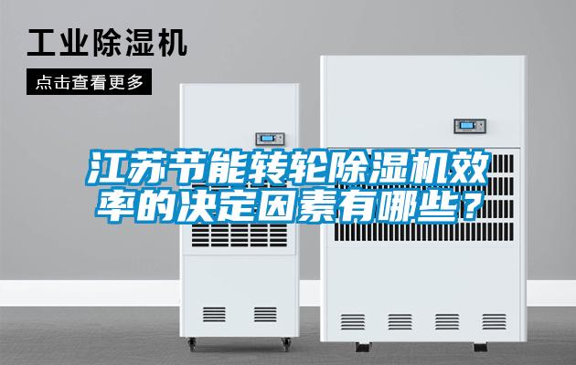 江蘇節(jié)能轉(zhuǎn)輪除濕機(jī)效率的決定因素有哪些？
