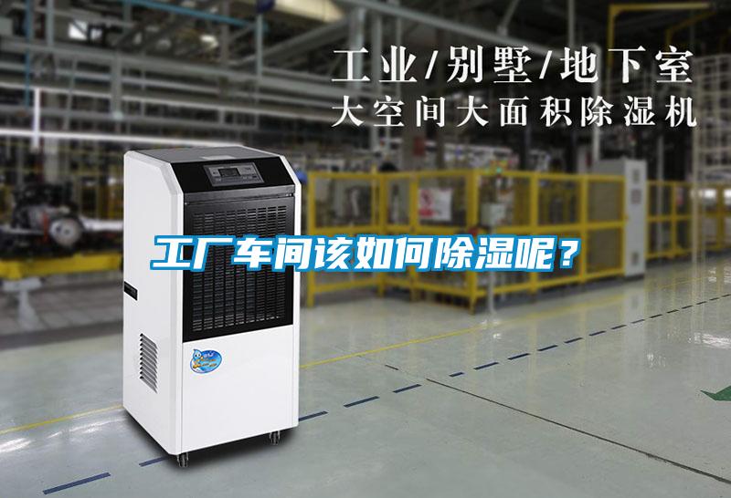 工廠車間該如何除濕呢？