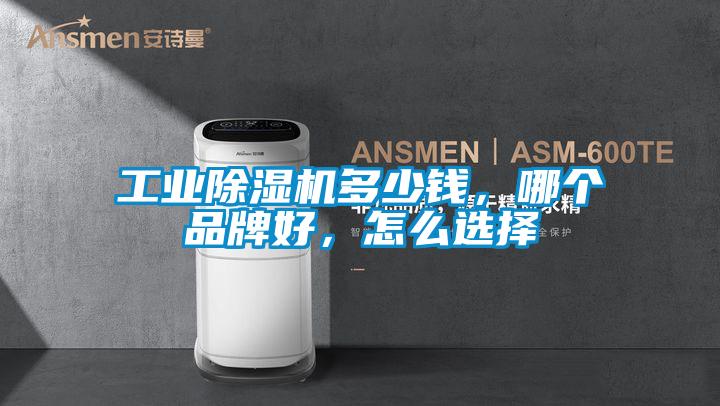工業(yè)除濕機(jī)多少錢，哪個(gè)品牌好，怎么選擇