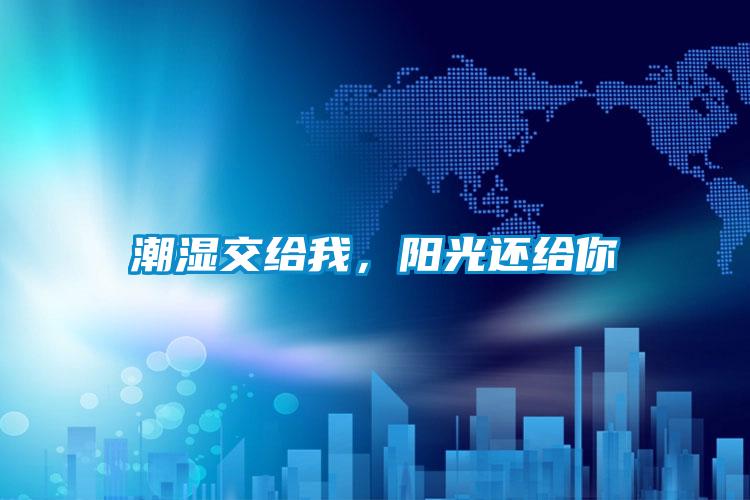 潮濕交給我，陽光還給你