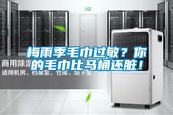 梅雨季毛巾過敏？你的毛巾比馬桶還臟！