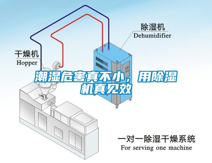 潮濕危害真不小，用除濕機真見效