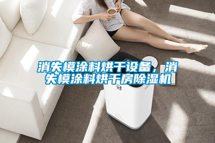 消失模涂料烘干設備，消失模涂料烘干房除濕機