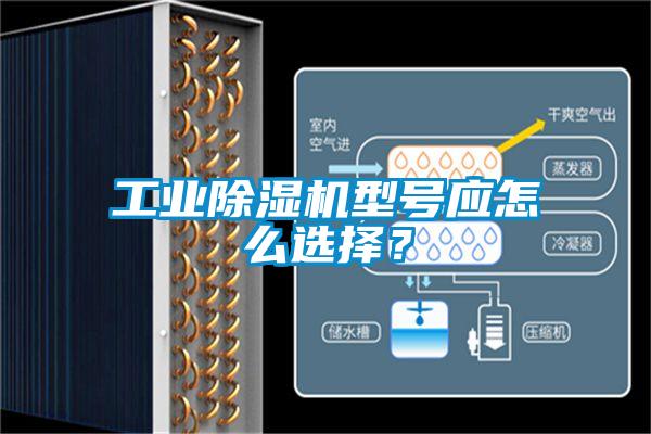 工業(yè)除濕機(jī)型號(hào)應(yīng)怎么選擇？
