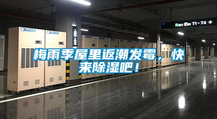 梅雨季屋里返潮發(fā)霉，快來除濕吧！